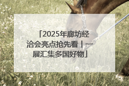 2025年廊坊经洽会亮点抢先看丨一展汇集多国好物