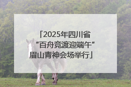 2025年四川省“百舟竞渡迎端午”眉山青神会场举行