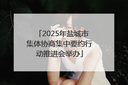 2025年盐城市集体协商集中要约行动推进会举办