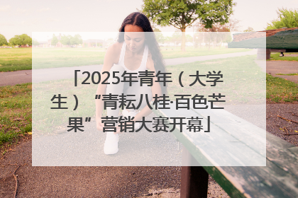 2025年青年（大学生）“青耘八桂·百色芒果”营销大赛开幕