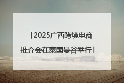 2025广西跨境电商推介会在泰国曼谷举行