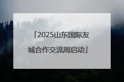 2025山东国际友城合作交流周启动