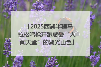 2025西湖半程马拉松鸣枪开跑感受“人间天堂”的湖光山色