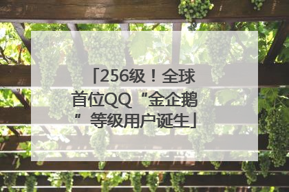 256级！全球首位QQ“金企鹅”等级用户诞生