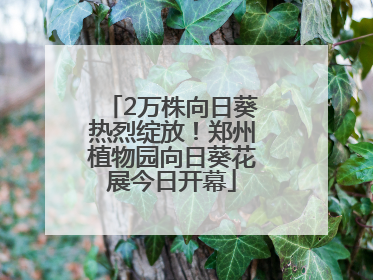 2万株向日葵热烈绽放！郑州植物园向日葵花展今日开幕