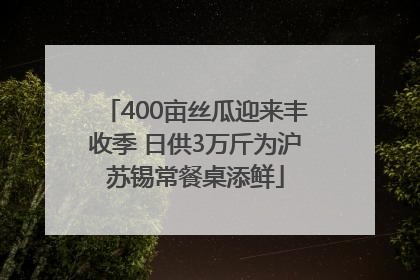 400亩丝瓜迎来丰收季 日供3万斤为沪苏锡常餐桌添鲜