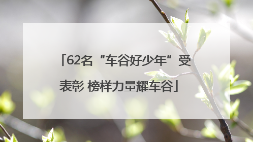 62名“车谷好少年”受表彰 榜样力量耀车谷