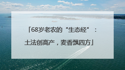 68岁老农的“生态经”：土法创高产，麦香飘四方