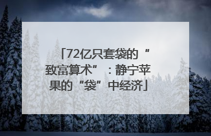 72亿只套袋的“致富算术”：静宁苹果的“袋”中经济