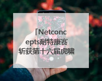 Netconcepts耐特康赛斩获第十六届虎啸奖“年度综合服务商”大奖